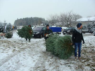 images/selberschneiden/20171217_christbaeumemussner_004.jpg